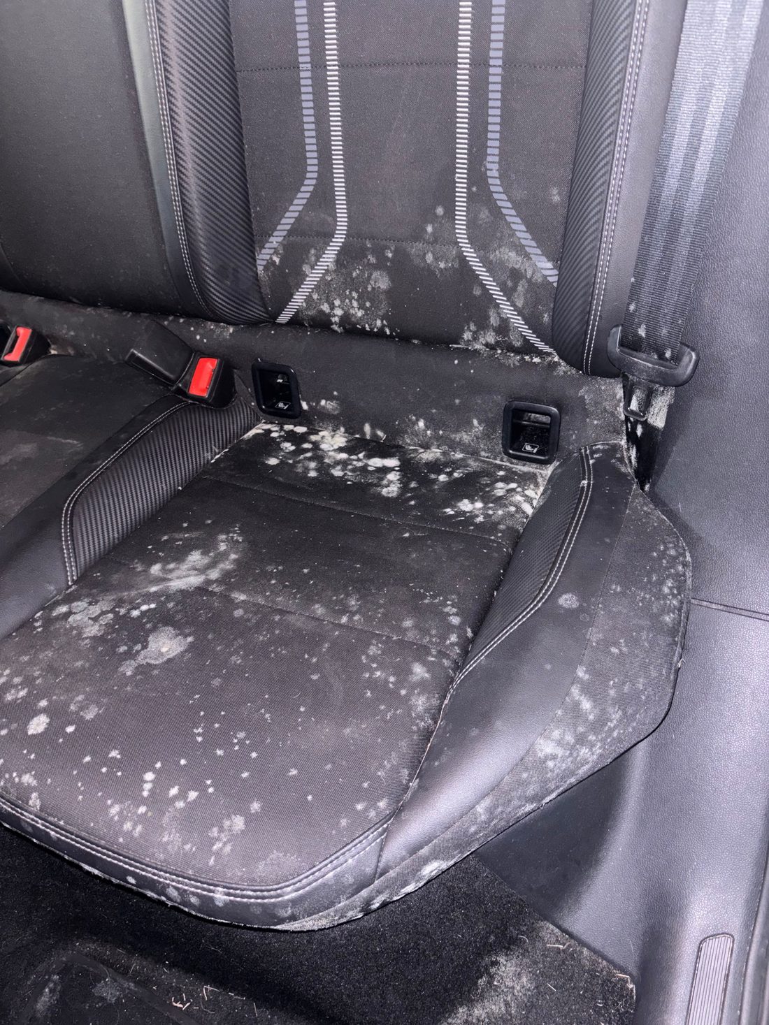 Fabric rear seat before JackWash detailing